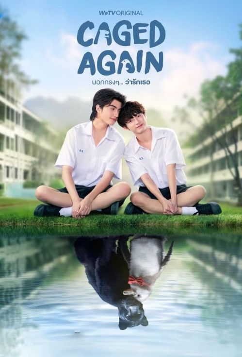 Dũng Cảm Nói Yêu Người (Caged Again) vietsub