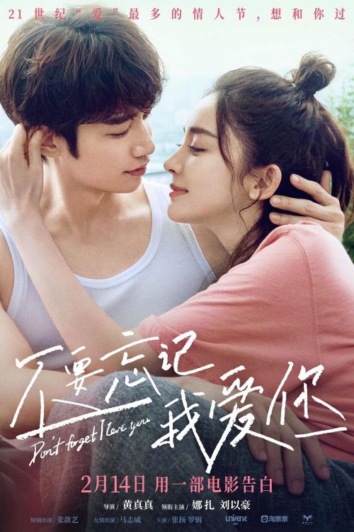 Đừng Quên Anh Yêu Em (Don't Forget I Love You) vietsub