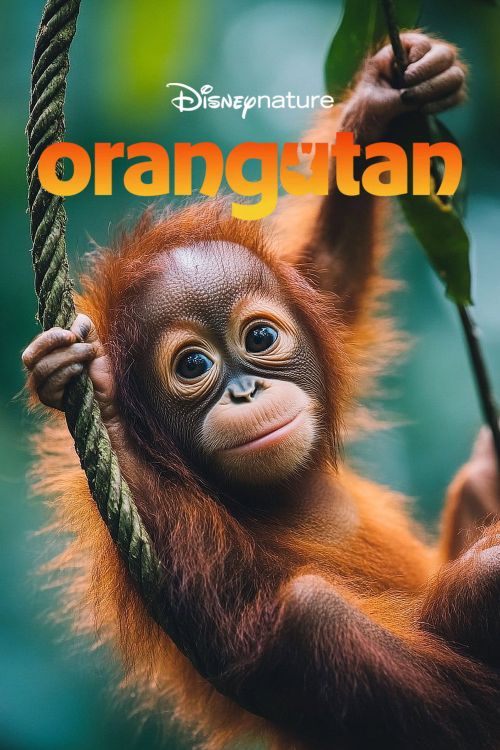 Đười ươi (Orangutan) vietsub