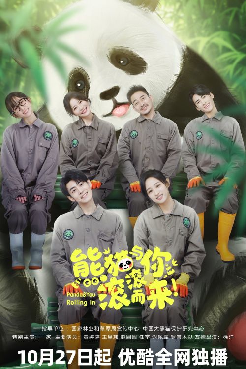 Gấu Trúc Và Bạn, Lăn Đến Đây! (Panda & You Rolling In) vietsub