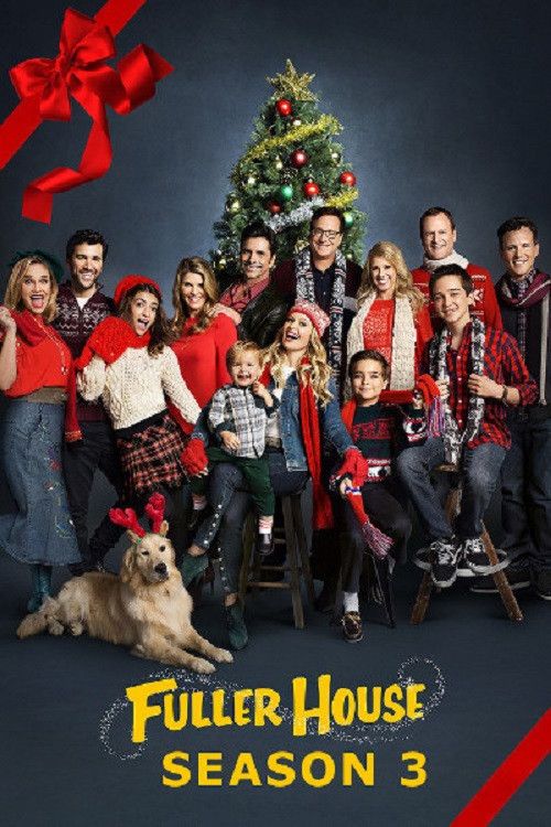 Gia đình Fuller (Phần 3) (Fuller House (Season 3)) vietsub