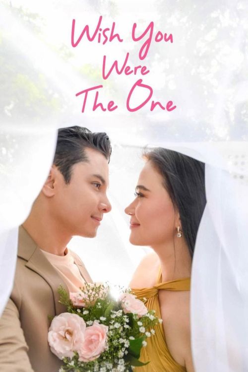 Giá Như Là Người Ấy (Wish You Were The One) vietsub