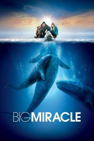 Giải Cứu Cá Heo (Big Miracle) Giải Cứu Cá Heo (Big Miracle) vietsub