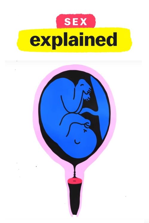 Giải Mã Tình Dục (Sex, Explained) Giải Mã Tình Dục (Sex, Explained) vietsub