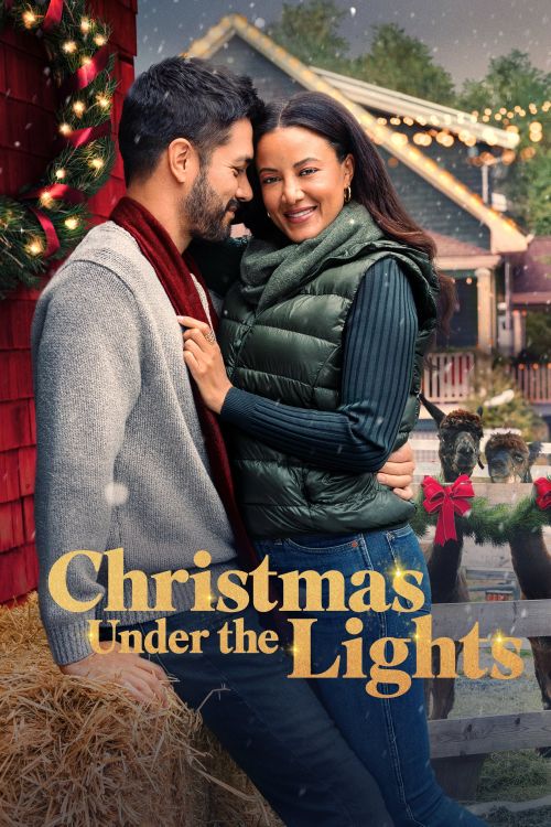 Giáng Sinh Dưới Ánh Đèn (Christmas Under The Lights) vietsub