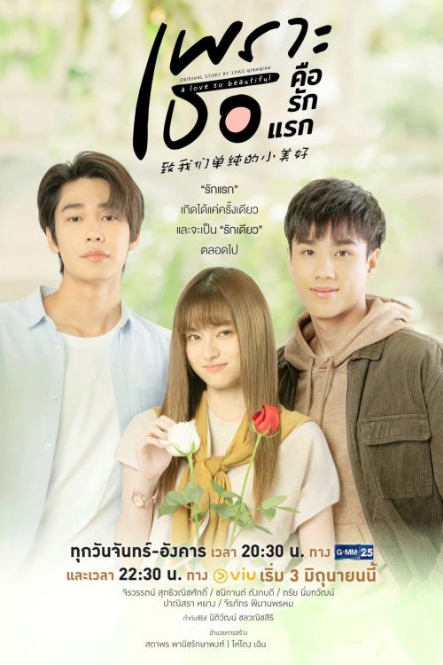 Gửi Thời Thanh Xuân Ngây Thơ Tươi Đẹp (Bản Thái) (A Love So Beautiful (Thailand)) Gửi Thời Thanh Xuân Ngây Thơ Tươi Đẹp (Bản Thái) (A Love So Beautiful (Thailand)) vietsub