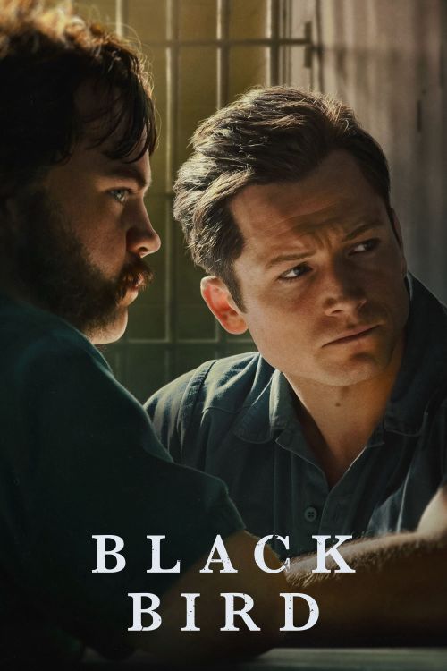 Hắc Điểu (Phần 1) (Black Bird (Season 1)) Hắc Điểu (Phần 1) (Black Bird (Season 1)) vietsub