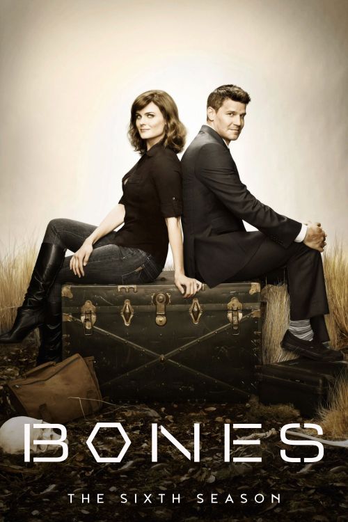 Hài Cốt (Phần 6) (Bones (Season 6)) Hài Cốt (Phần 6) (Bones (Season 6)) vietsub