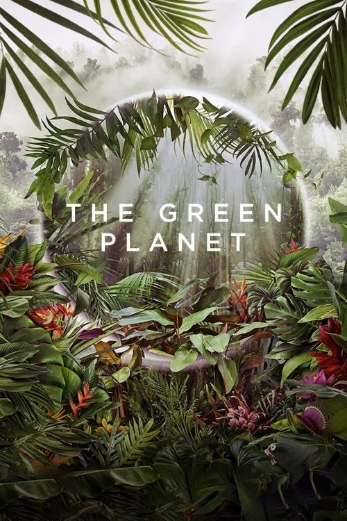 Hành Tinh Xanh (The Green Planet) Hành Tinh Xanh (The Green Planet) vietsub