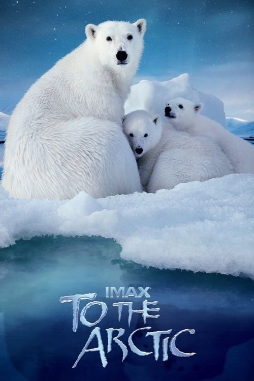 Hành Trình Đến Bắc Cực (Đường Đến Bắc Cực) (To the Arctic 3D) Hành Trình Đến Bắc Cực (Đường Đến Bắc Cực) (To the Arctic 3D) vietsub