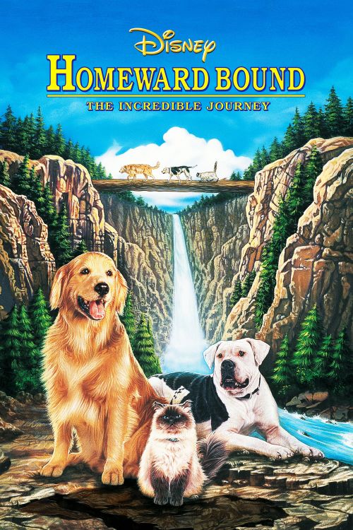 Hành Trình Về Nhà (Boonie Bears: Homeward Journey) Hành Trình Về Nhà (Boonie Bears: Homeward Journey) vietsub