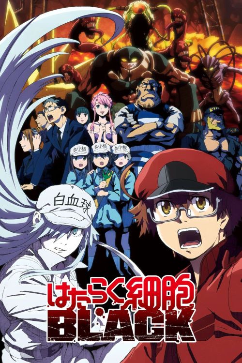 Khi Các Tế Bào Làm Việc (Mã Đen) (Cells at Work! (Code Black)) vietsub
