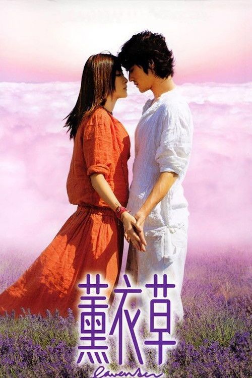 Hoa Oải Hương (Oải Hương Tím) (Lavender) vietsub