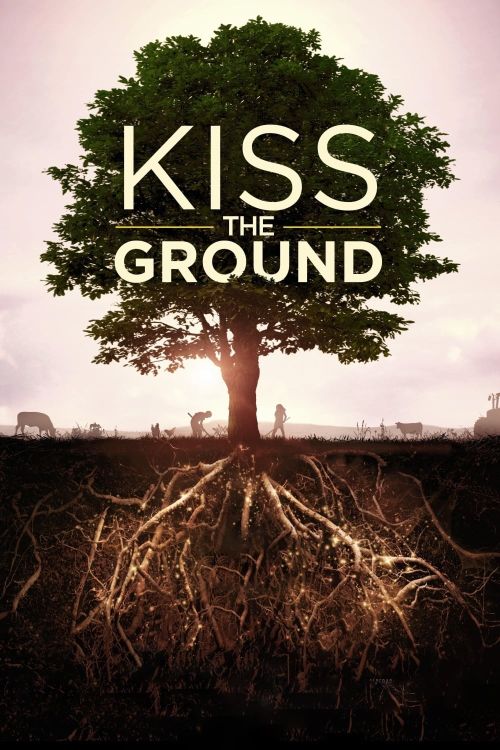 Hôn Lên Mạch Đất (Kiss the Ground) Hôn Lên Mạch Đất (Kiss the Ground) vietsub