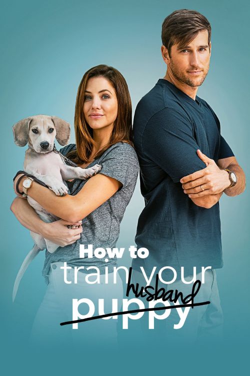 Huấn Luyện Chồng (How to Train Your Husband) Huấn Luyện Chồng (How to Train Your Husband) vietsub