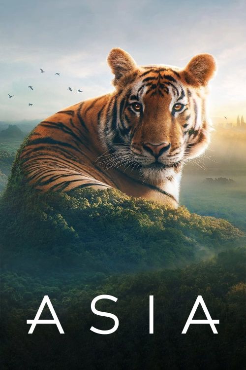 Khám Phá Châu Á (Asia) Khám Phá Châu Á (Asia) vietsub