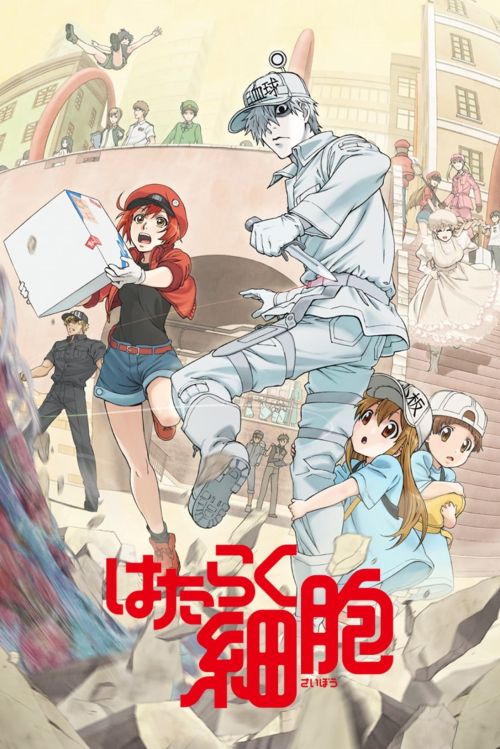 Khi Các Tế Bào Làm Việc (Phần 2) (Cells at Work! (Season 2)) vietsub