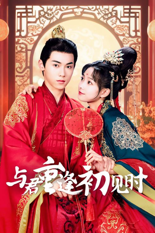 Khi Ta Gặp Nhau Lần Đầu Tiên (Reunion As First Sight) vietsub