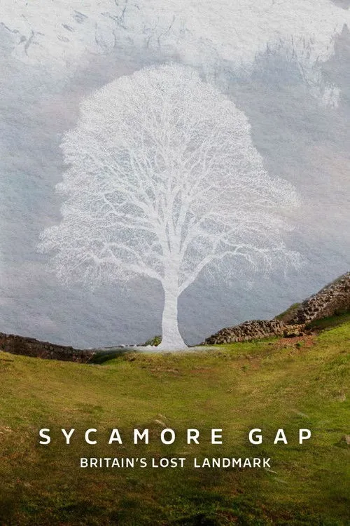 Khoảng Trống Sycamore: Di Sản Mất Đi Của Nước Anh (Sycamore Gap: Britain's Lost Landmark) vietsub