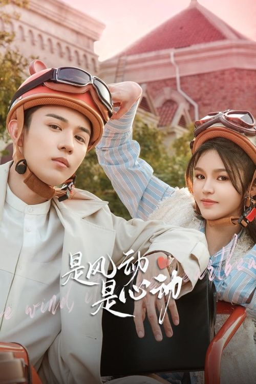 Là Gió Lay Hay Tim Rung Động (The Wind, It's The Heartbeat) vietsub