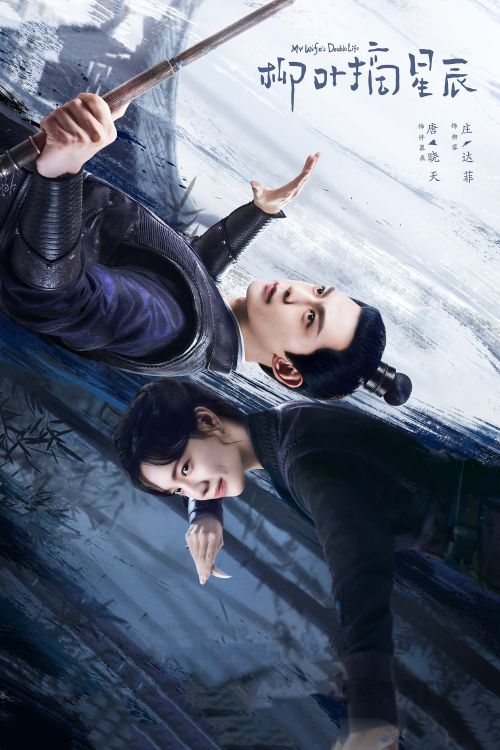 Liễu Diệp Trích Tinh Thần (My Wife's Double Life) vietsub