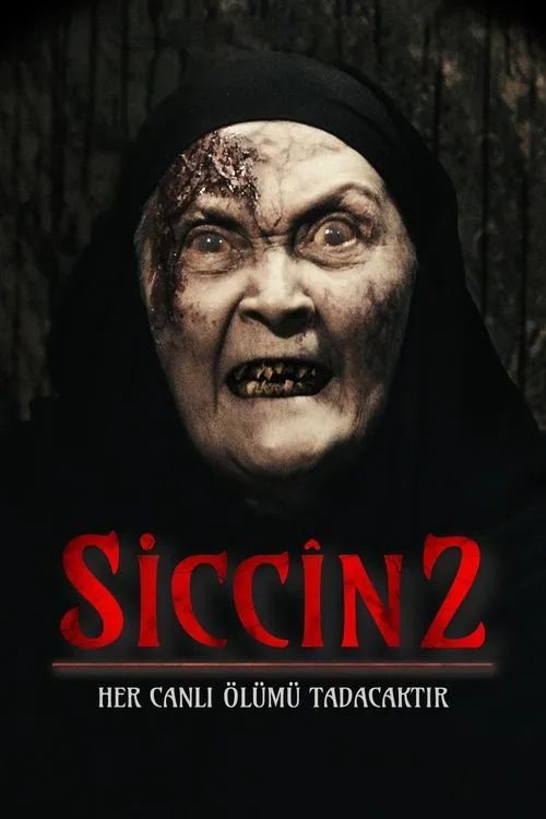 Lời Nguyền Sijjin 2 (Sijjin 2) vietsub