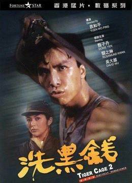 Lồng Hổ 2 (Tiger Cage II) Lồng Hổ 2 (Tiger Cage II) vietsub