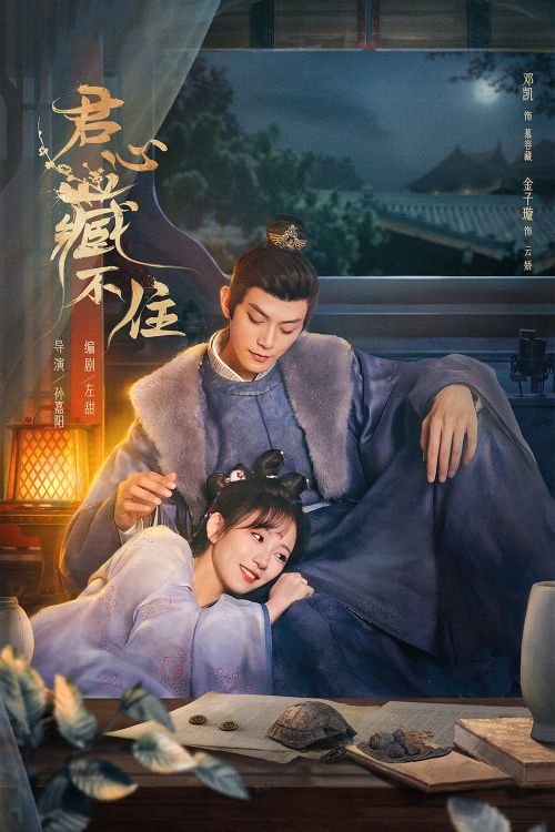 Lòng Quân Không Thể Giấu (Governor's Secret Love) vietsub