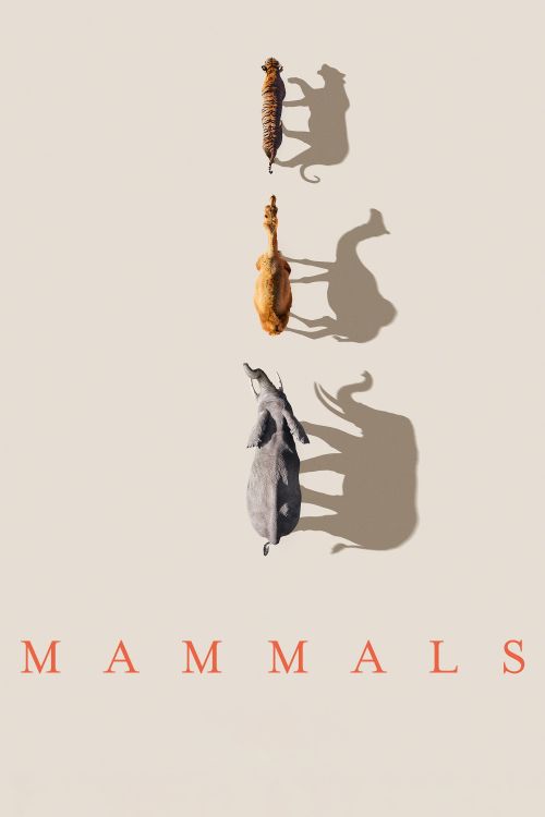 Lớp Thú (Mammals) Lớp Thú (Mammals) vietsub