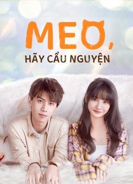 Meo, Hãy Cầu Nguyện (Make A Wish) Meo, Hãy Cầu Nguyện (Make A Wish) vietsub