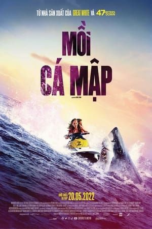 Mồi Cá Mập (Open Water 3: Cage Dive - Shark Terror) Mồi Cá Mập (Open Water 3: Cage Dive - Shark Terror) vietsub