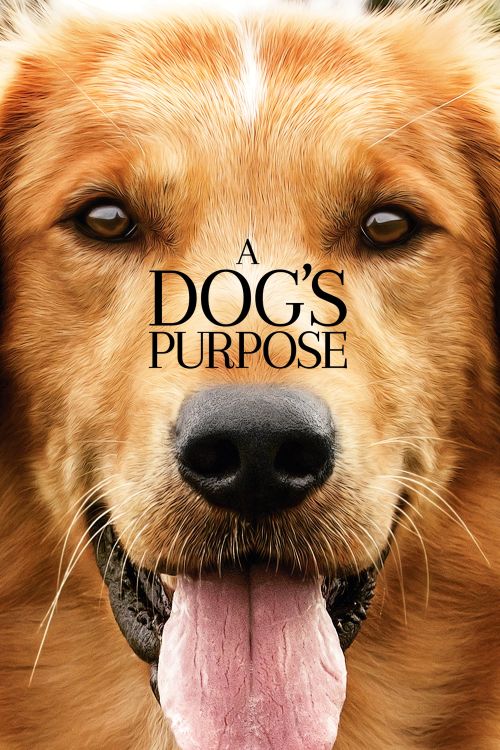 Mục Đích Sống Của Một Chú Chó (A Dog's Purpose) vietsub