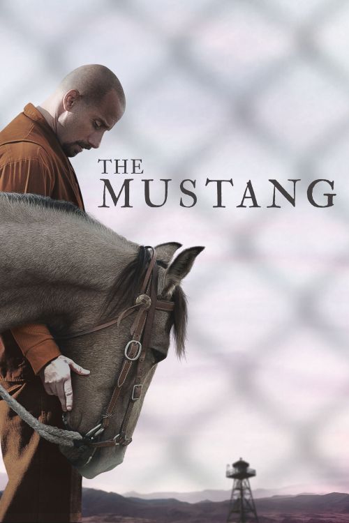 Mustang: Thuần hóa (The Mustang) Mustang: Thuần hóa (The Mustang) vietsub