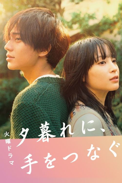 Nắm Tay Lúc Hoàng Hôn (Hold My Hand At Twilight) vietsub