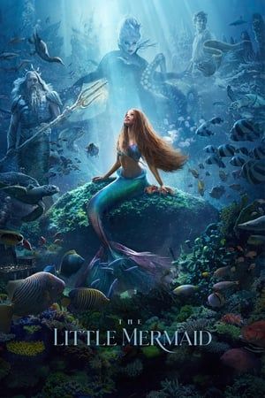Nàng Tiên Cá (The Little Mermaid) Nàng Tiên Cá (The Little Mermaid) vietsub