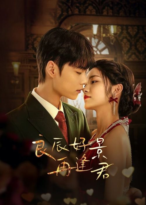 Ngày Tốt Cảnh Đẹp Gặp Lại Chàng (In The Wake Of Shadow) vietsub