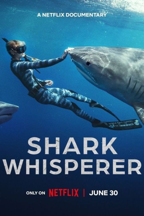 Người Bạn Của Cá Mập (Shark Whisperer) Người Bạn Của Cá Mập (Shark Whisperer) vietsub