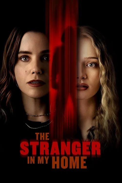 Người Lạ Trong Nhà Tôi (The Stranger In My Home) vietsub