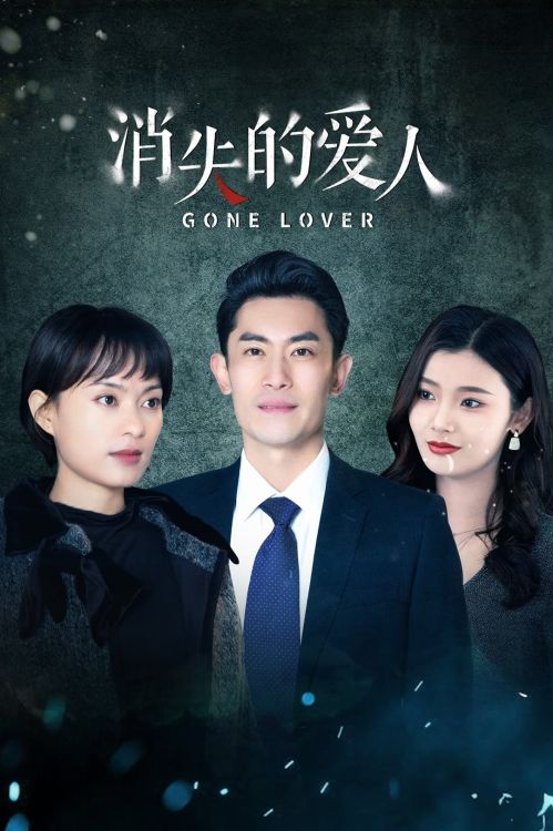 Người Yêu Bị Mất Tích (Missing Lover) vietsub