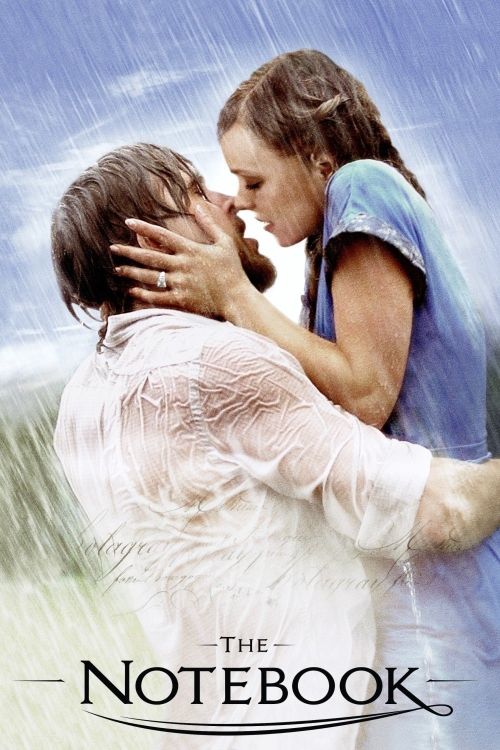 Nhật Ký Tình Yêu (The Notebook) vietsub