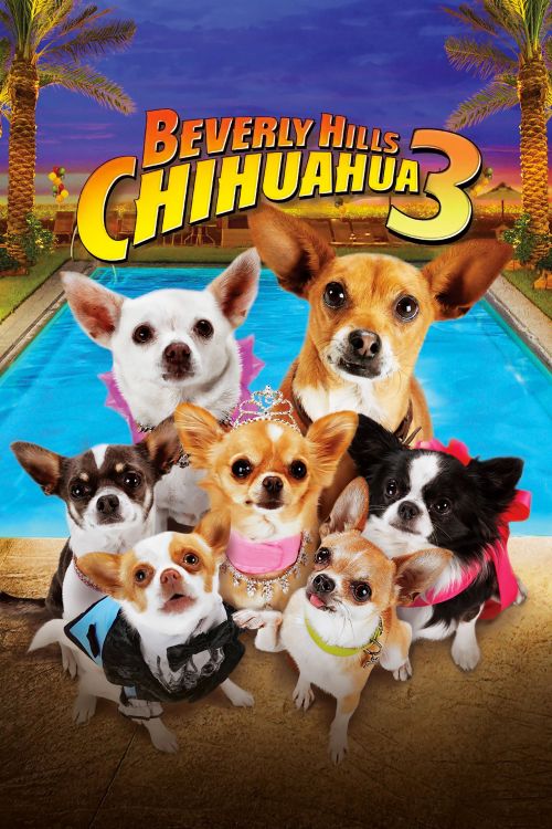 Những Chú Chó Chihuahua 3 (Beverly Hills Chihuahua 3: Viva La Fiesta!) Những Chú Chó Chihuahua 3 (Beverly Hills Chihuahua 3: Viva La Fiesta!) vietsub