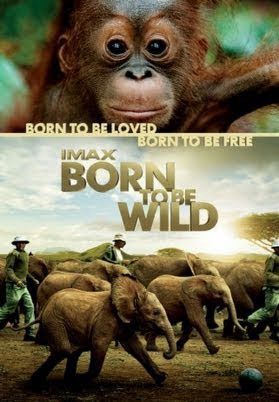 Những Loài Vật Mồ Côi (Born To Be Wild) Những Loài Vật Mồ Côi (Born To Be Wild) vietsub