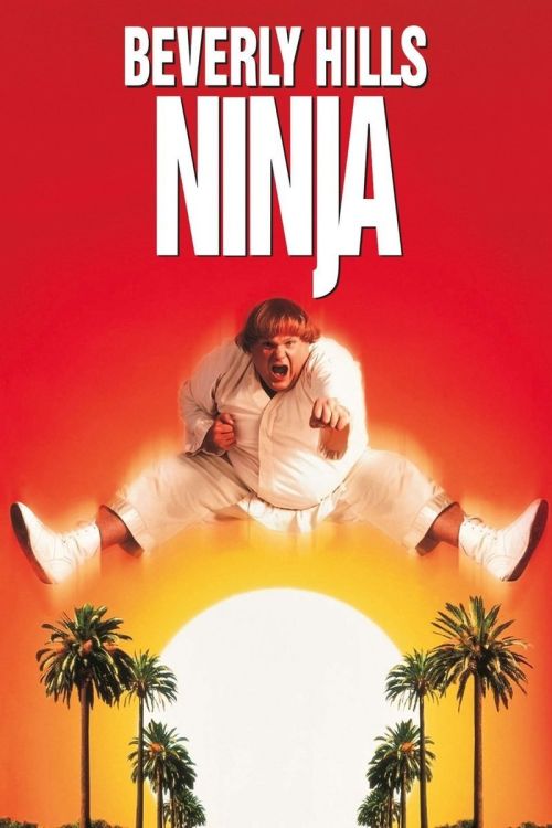 Ninja Đồi Beverly (Beverly Hills Ninja) Ninja Đồi Beverly (Beverly Hills Ninja) vietsub