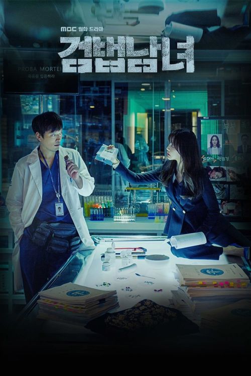Nữ Công Tố Viên (Phần 1) (Partners For Justice (Season 1)) vietsub