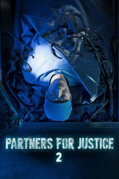 Nữ Công Tố Viên (Phần 2) (Partners For Justice (Season 2)) vietsub