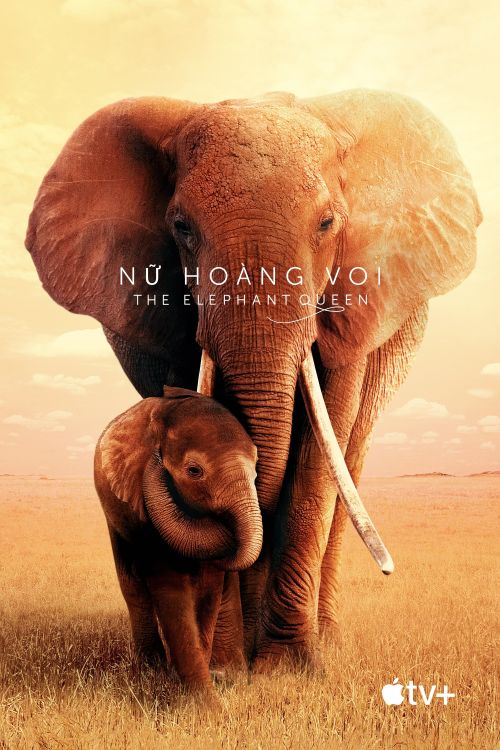 Nữ Hoàng Voi (The Elephant Queen) Nữ Hoàng Voi (The Elephant Queen) vietsub