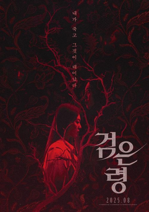 Oán Hồn Trong Vali (Rhapsody For The Dead) vietsub