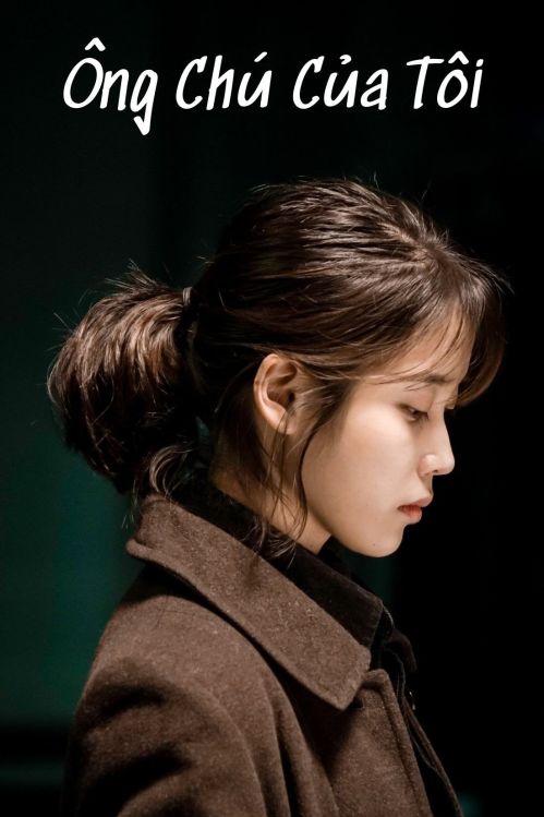 Ông Chú Của Tôi (My Mister) vietsub