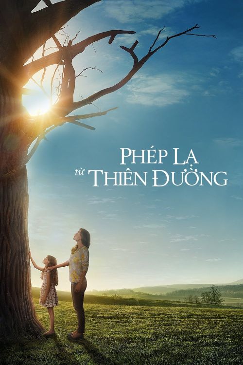 Phép Lạ Từ Thiên Đường (Miracles From Heaven) vietsub