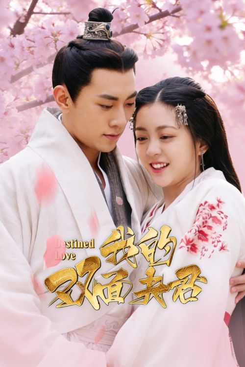 Phu Quân Hai Mặt Của Ta (Destined Love) vietsub